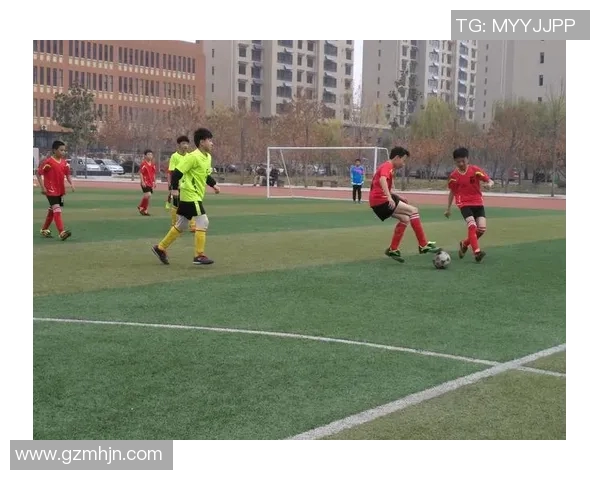 追逐绿茵梦想的轨迹南美足球巨星自述荣耀与心路历程 追逐绿茵梦想的轨迹南美足球巨星自述荣耀与心路历程