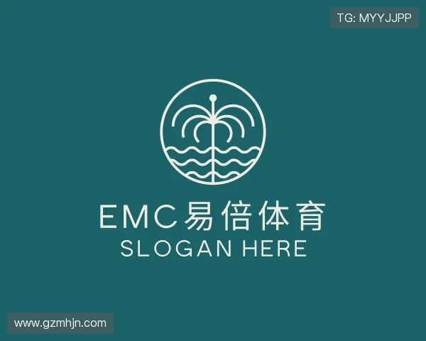 解读emc易倍