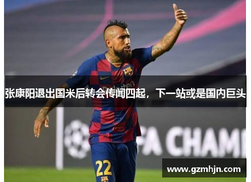 张康阳退出国米后转会传闻四起，下一站或是国内巨头