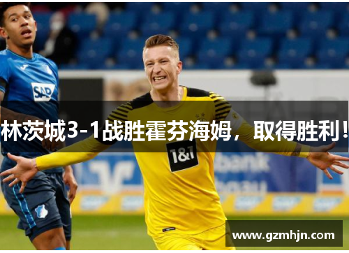 林茨城3-1战胜霍芬海姆，取得胜利！