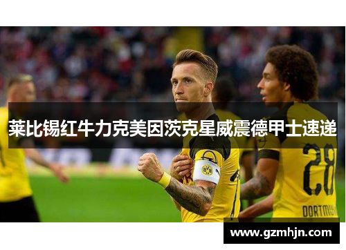 莱比锡红牛力克美因茨克星威震德甲士速递